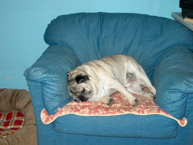 Cooper