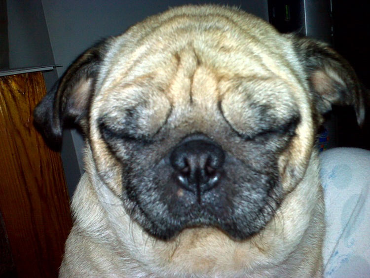 Sleepy Emi