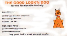 good look'n dog