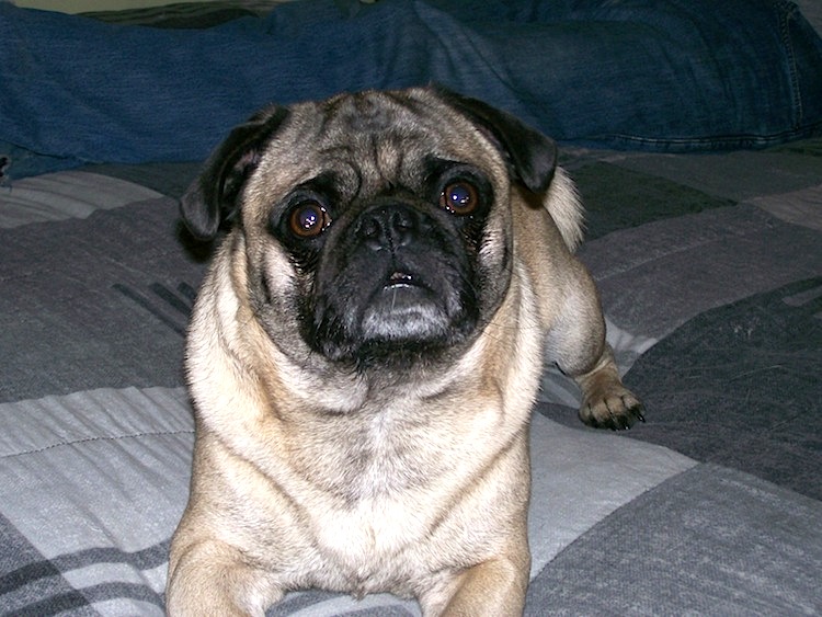 Walter