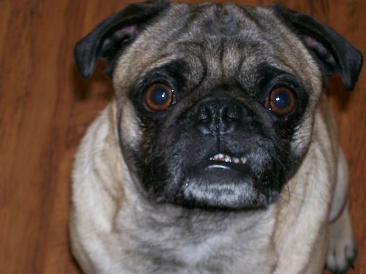 Walter