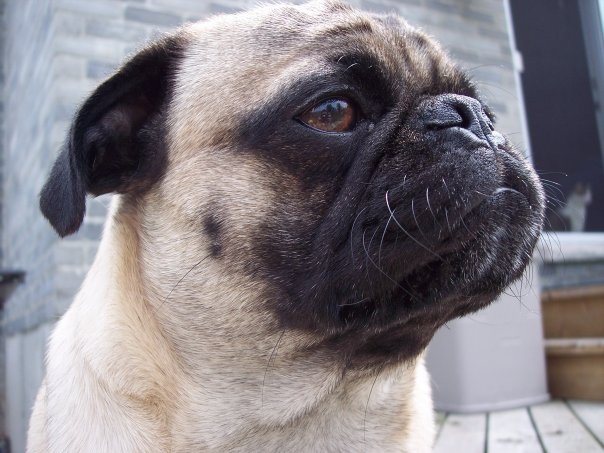 Walter