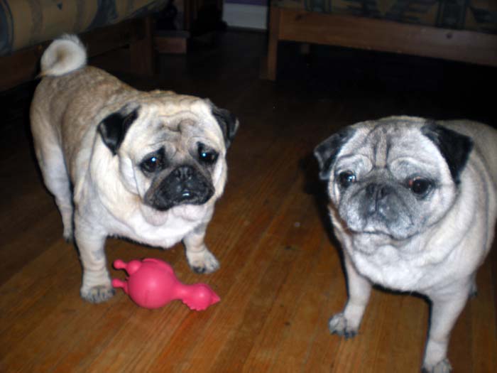 wilson and chloe