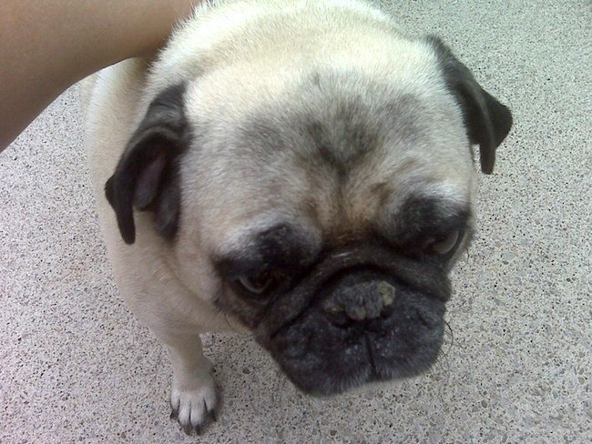 charlie