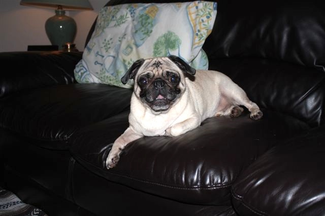 Finnegan