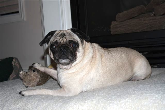 Finnegan