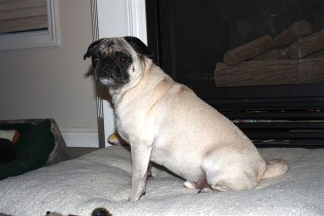 Finnegan
