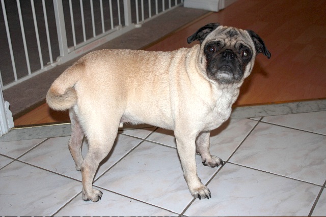 Finnegan