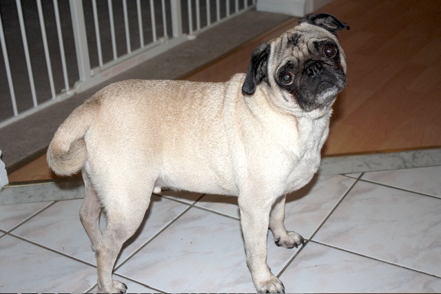 Finnegan