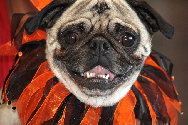Finnegan