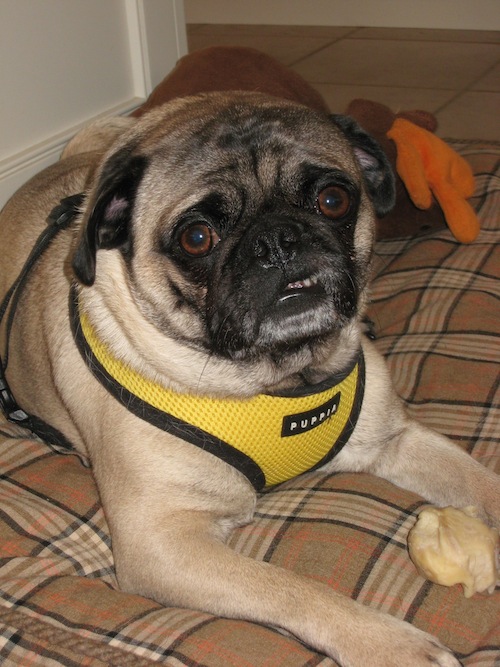 Walter