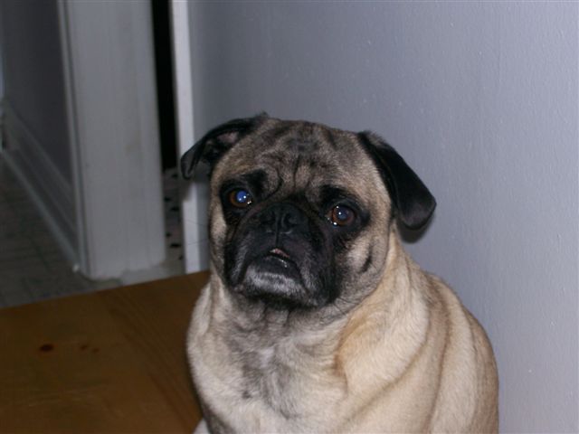 Walter