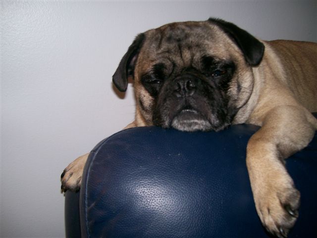 Walter