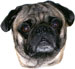 walter