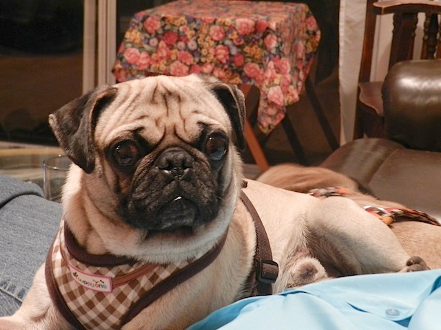 Billy