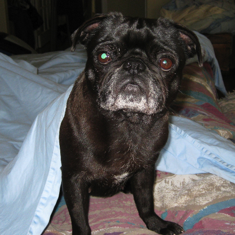 fiona