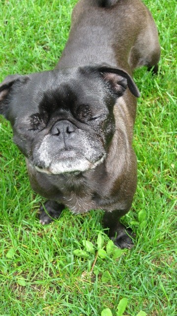 fiona