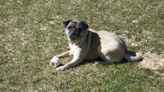 tina