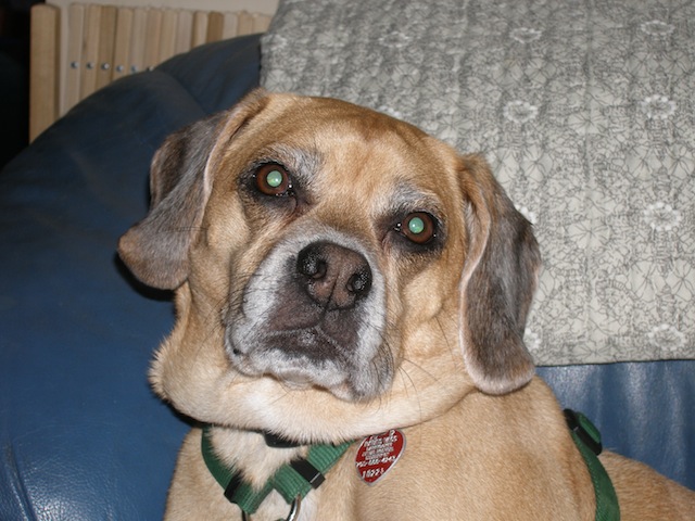 Baxter