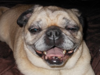 Chico