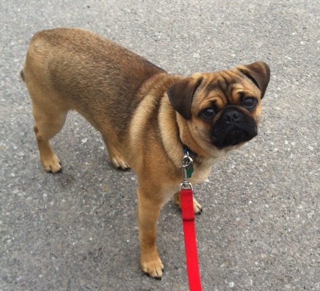 Dudley