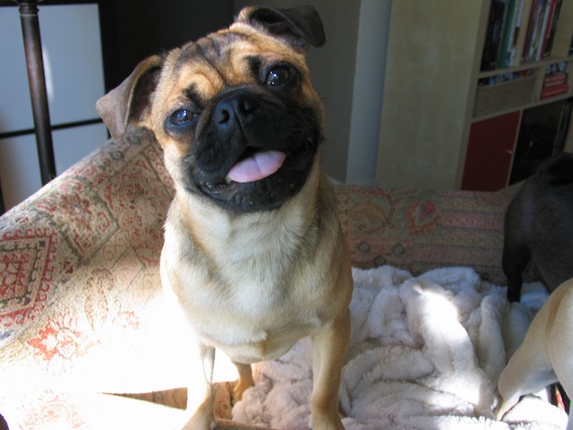 Dudley