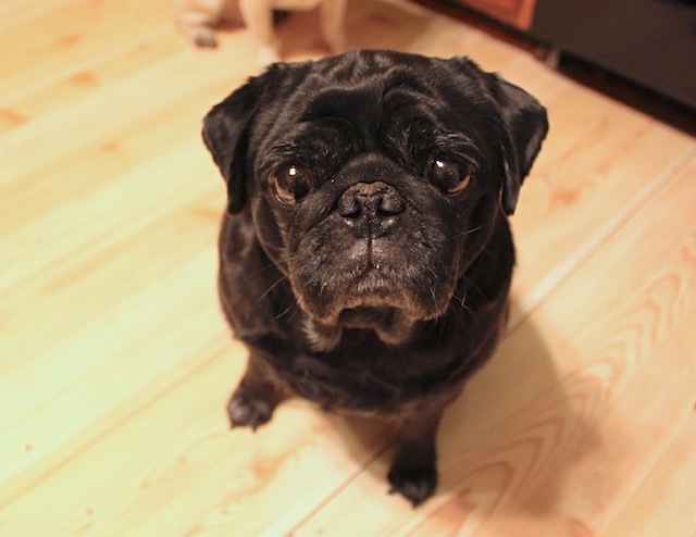 Onyx