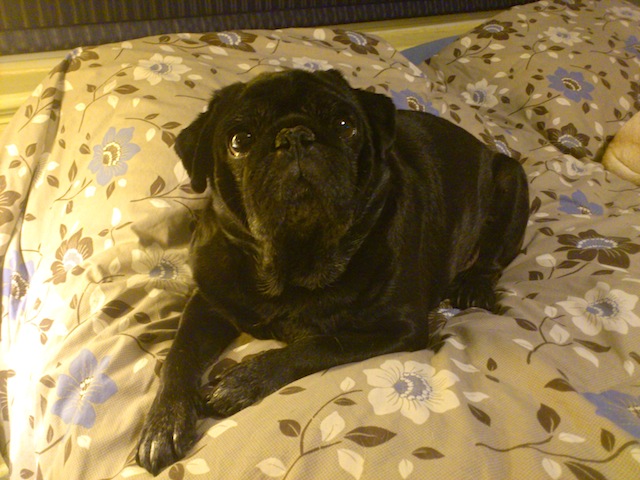 Onyx
