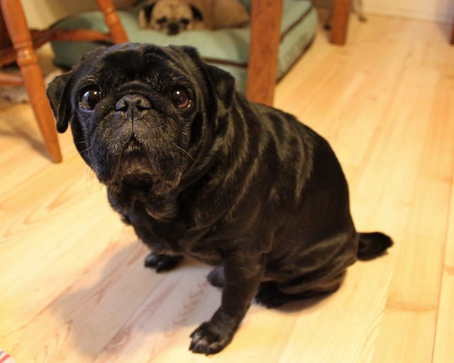 Onyx