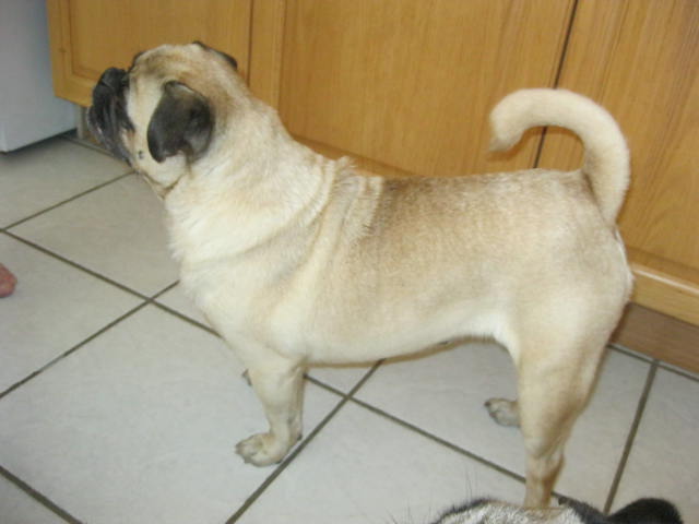 Quinn