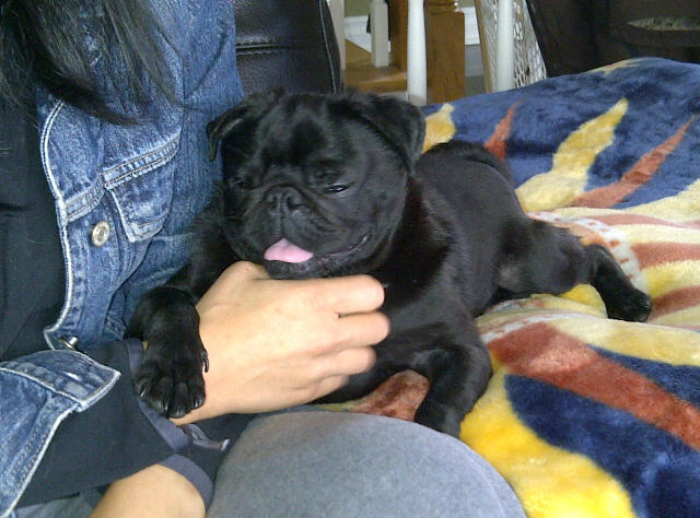 remo