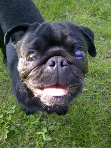 remo