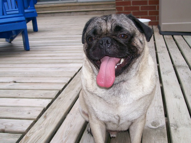 Robbie