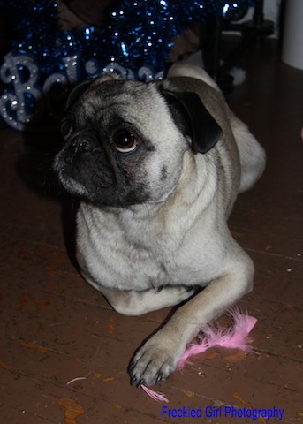 Rupert