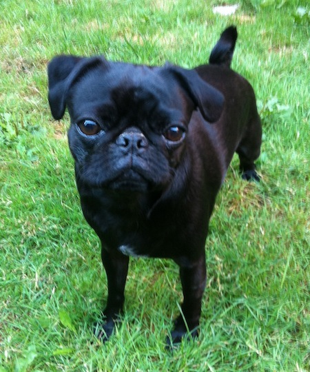 Shiloh