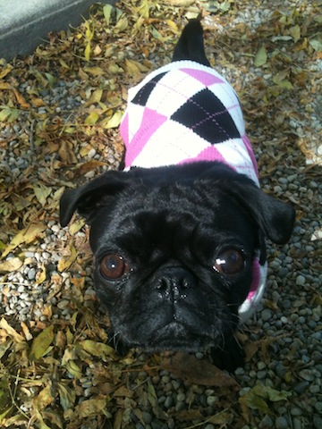 Shiloh