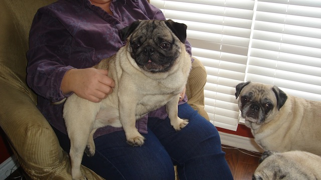 Winston