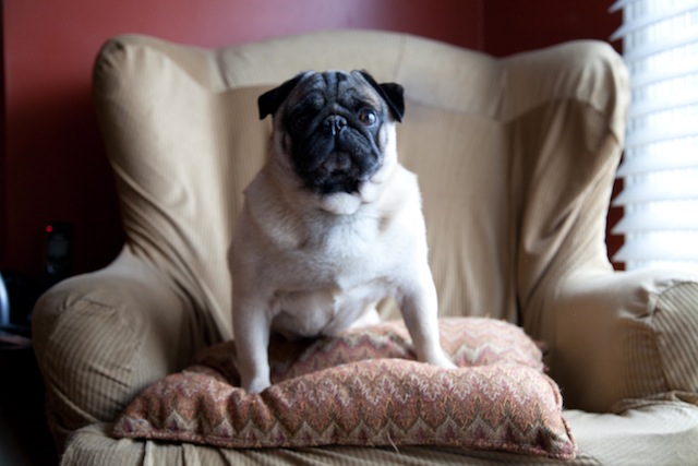 Winston