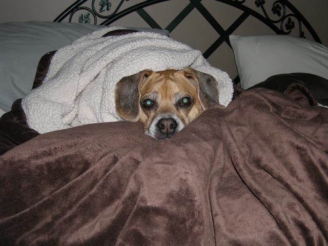 Baxter