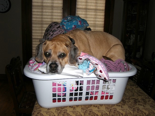 Baxter