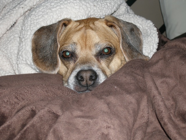 Baxter