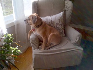 Baxter