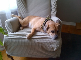 Baxter