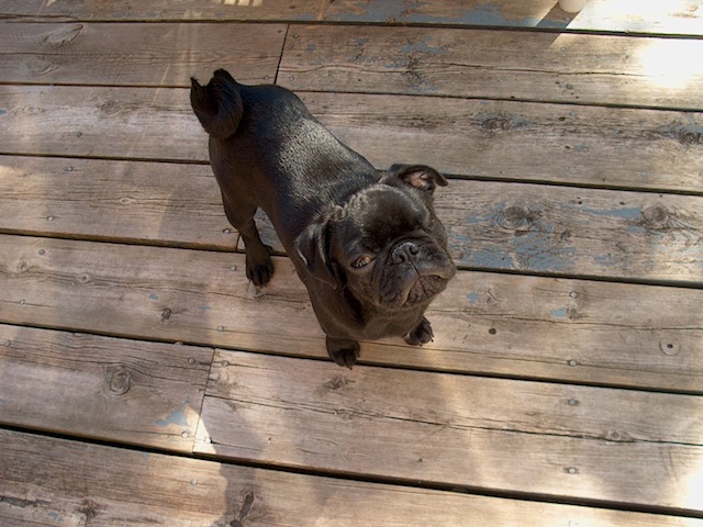 Henry