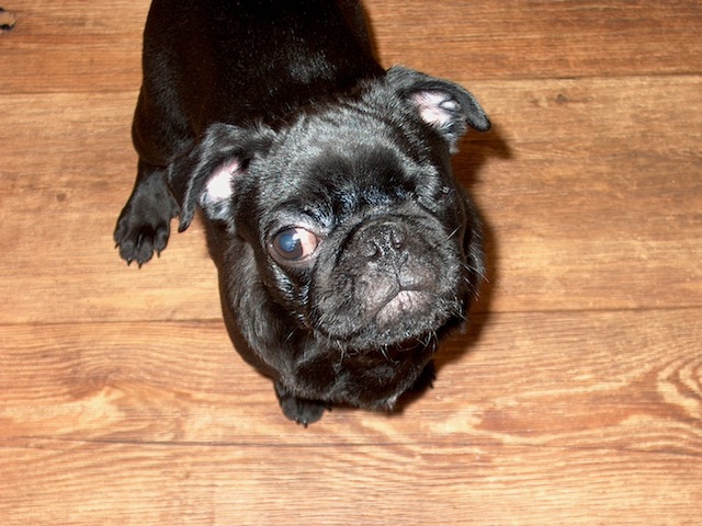 Henry