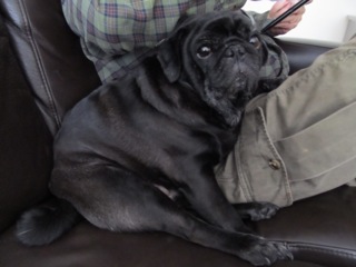 Onyx