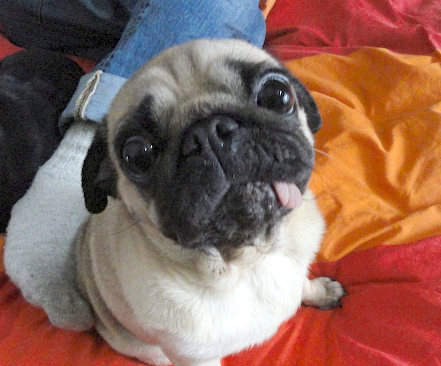 Peggy