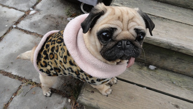 Peggy