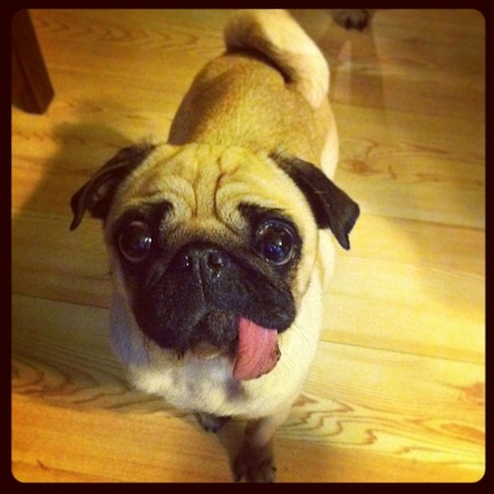 Peggy