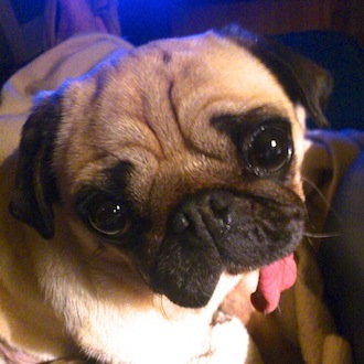 Peggy